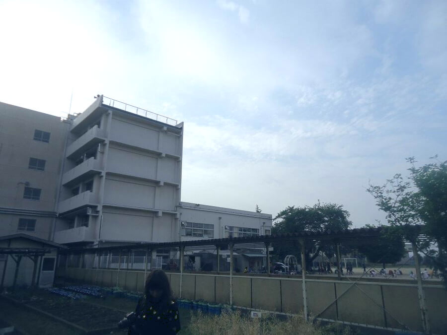 学校